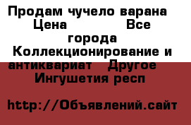Продам чучело варана › Цена ­ 15 000 - Все города Коллекционирование и антиквариат » Другое   . Ингушетия респ.